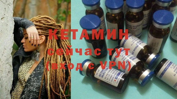 мет Ельня