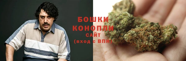 трава Дмитриев