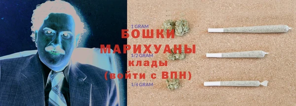 мет Ельня