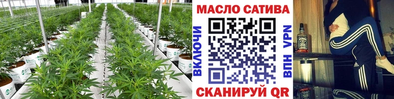 магазин продажи наркотиков  гидра вход  Дистиллят ТГК концентрат  Зеленокумск 